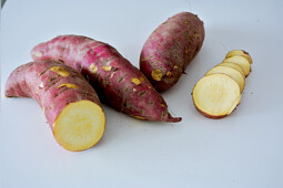 Voltz Horticulture - Ipomea batatas Murasaki 29 (COV PBR 2011/0210)