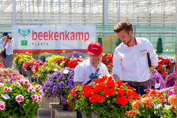 Beekenkamp Plants BV - SHOWGARDEN