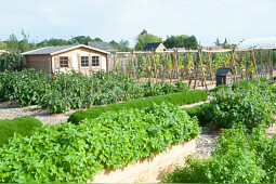 Voltz Horticulture - Summer Trials® France