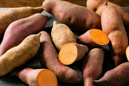 Volmary GmbH - Sweet Potato 'Erato® Vineland' Mix