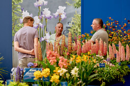 Walter Blom Plants B.V. - Impression of the Flower Trials 2023 3