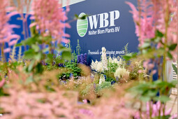 Walter Blom Plants B.V. - Impression FlowerTrials 2024