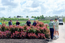 Kolster BV - See 100s of varieties across our 10 ha breeding & testing farm