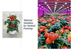 Prudac - Varieties for Vertical Farming