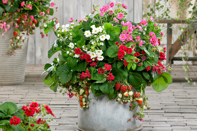 Full of Life Garden Bouquet - Flowers By Diamonds Treasures